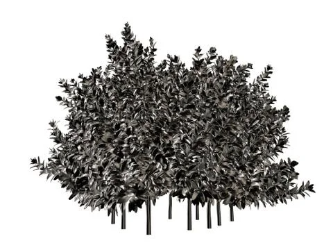 3d rendering of a silver tree isolated on a white background Stock Illustration