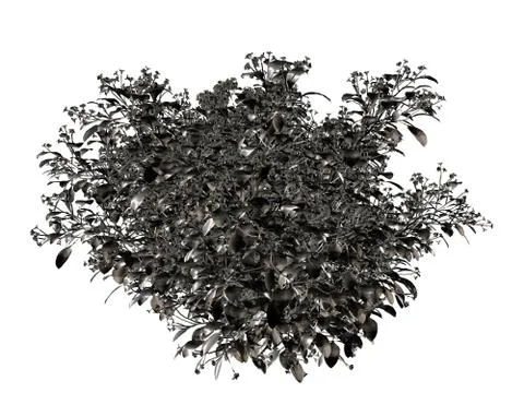 3d rendering of a silver tree isolated on a white background Stock Illustration