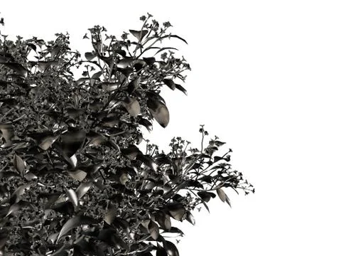 3d rendering of a silver tree isolated on a white background Stock Illustration