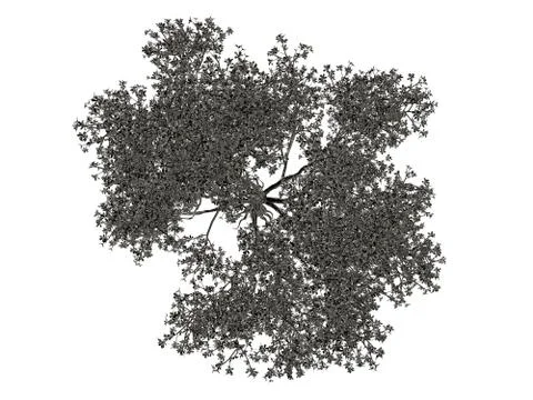 3d rendering of a silver tree isolated on a white background Illustrazione stock