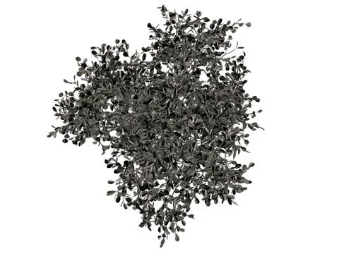 3d rendering of a silver tree isolated on a white background Illustrazione stock