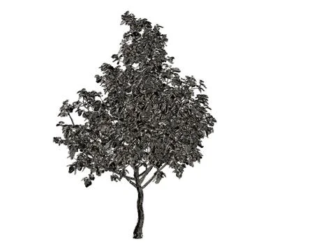 3d rendering of a silver tree isolated on a white background Stock Illustration