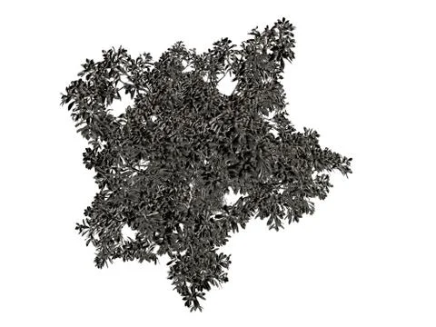 3d rendering of a silver tree isolated on a white background Stock Illustration