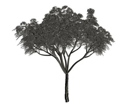 3d rendering of a silver tree isolated on a white background Stock Illustration