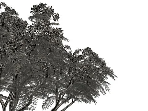 3d rendering of a silver tree isolated on a white background Stock Illustration
