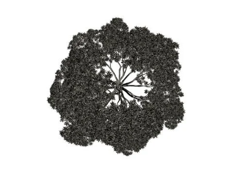 3d rendering of a silver tree isolated on a white background イラスト素材