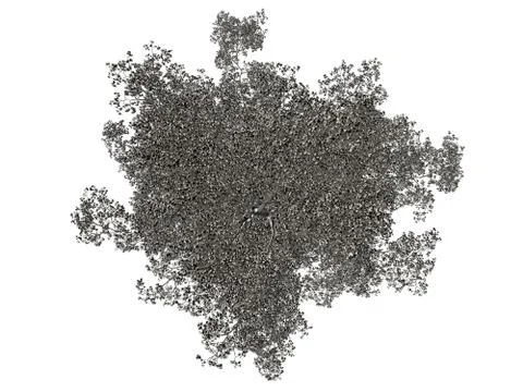 3d rendering of a silver tree isolated on a white background Stock Illustration