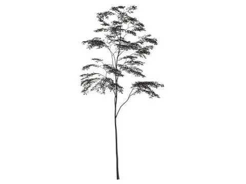3d rendering of a silver tree isolated on a white background Stock Illustration