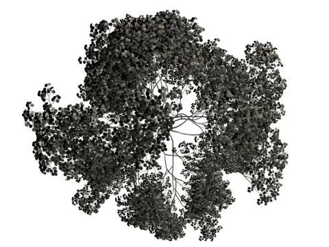 3d rendering of a silver tree isolated on a white background Stock Illustration