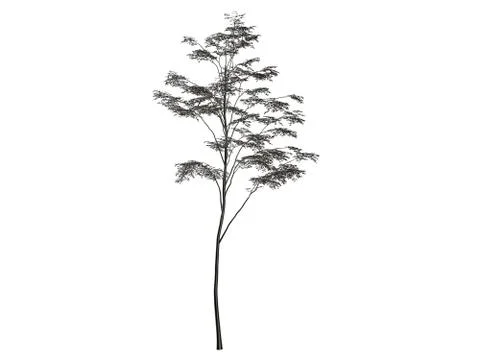 3d rendering of a silver tree isolated on a white background Illustrazione stock