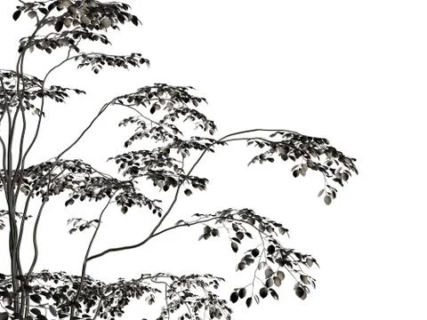 3d rendering of a silver tree isolated on a white background イラスト素材