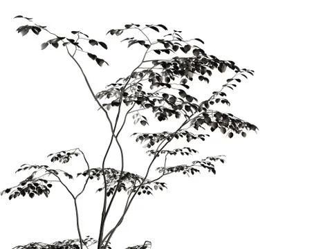 3d rendering of a silver tree isolated on a white background Illustrazione stock