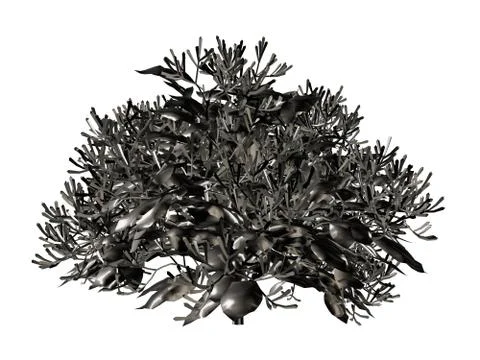 3d rendering of a silver tree isolated on a white background Stock Illustration