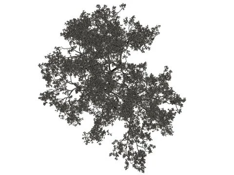 3d rendering of a silver tree isolated on a white background Stock Illustration