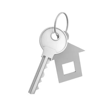 3d rendering of a single silver key with label isolated on white background 스톡 일러스트