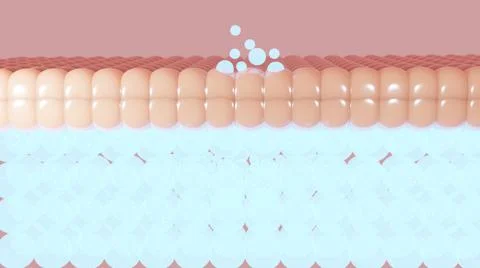 3D rendering The skin structure layer Microstructure Stock Illustration