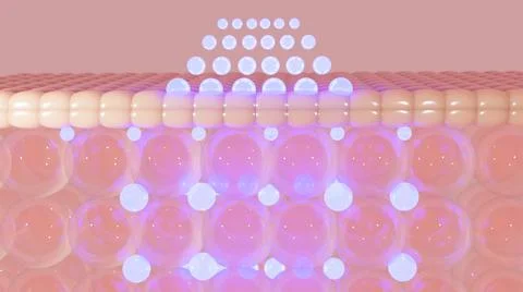 3D rendering The skin structure layer Microstructure Stock Illustration