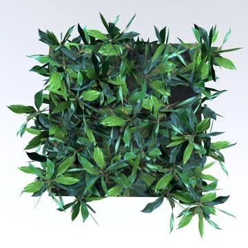 3d Rendering Of Small Hedge Stock Illustration