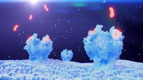 3D Rendering of Small Molecule Drug Binding to Cell Surface Receptor Stock Illustration