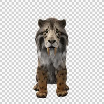 3D rendering of a Smilodon, the extinct pre-historic Sabre-tooth Stock Illustration