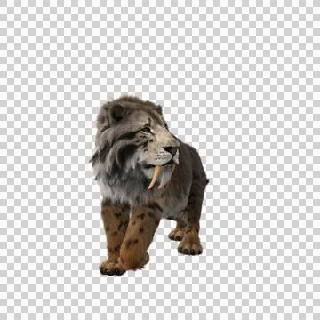 3D rendering of a Smilodon, the extinct pre-historic Sabre-tooth Stock Illustration