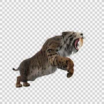 3D rendering of a Smilodon, the extinct pre-historic Sabre-tooth Illustrazione stock