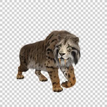 3D rendering of a Smilodon, the extinct pre-historic Sabre-tooth Stock Illustration