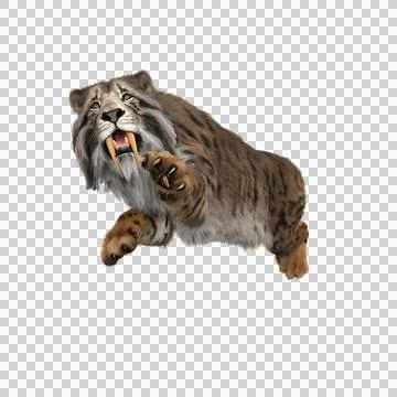 3D rendering of a Smilodon, the extinct pre-historic Sabre-tooth Stock Illustration