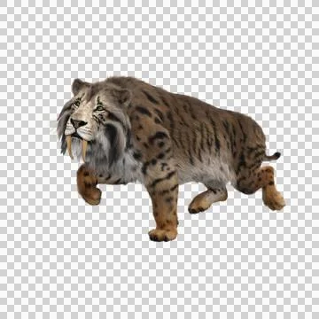 3D rendering of a Smilodon, the extinct pre-historic Sabre-tooth Illustrazione stock