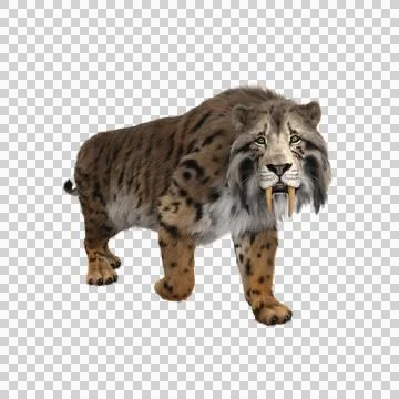 3D rendering of a Smilodon, the extinct pre-historic Sabre-tooth Illustrazione stock