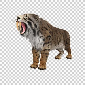 3D rendering of a Smilodon, the extinct pre-historic Sabre-tooth Stock Illustration