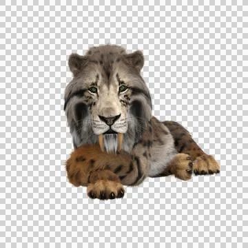 3D rendering of a Smilodon, the extinct pre-historic Sabre-tooth Stock Illustration