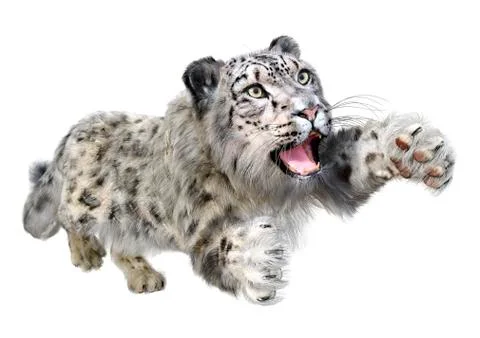 3D Rendering Snow Leopard on White Stock Illustration