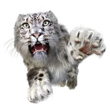 3D Rendering Snow Leopard on White Stock Illustration