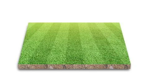 3D Rendering. Soccer lawn stripe field, Green grass football field, isolated  Stock Photos