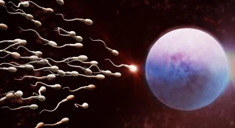 3d rendering Sperm and egg cell  science content. Stock Illustration