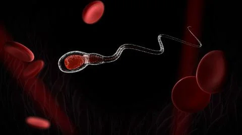 3d rendering sperm with blood cell, isolated on black Stock Illustration
