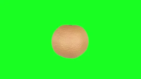 3D rendering of a spherical shape with a textured surface on a bright background Stock-Footage 297584549