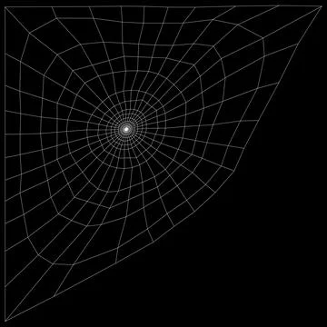 3D Rendering Spiderweb on White Stock Illustration
