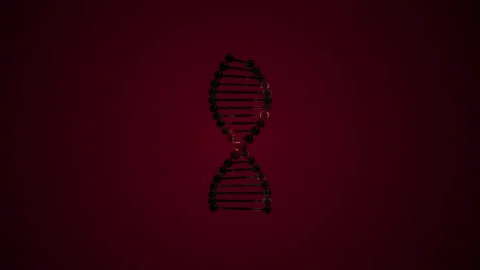 3d rendering of a spiral looking DNA twisting around its axis over dark red Stock Footage 132846132