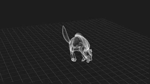3D Rendering of a Squirrel-Like Creature in a Wireframe Virtual Environment 库存影片 342781398