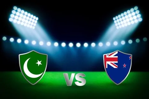 3D rendering of the stadium for the Pakistan Vs New Zealand cricket match champi Stock Illustration