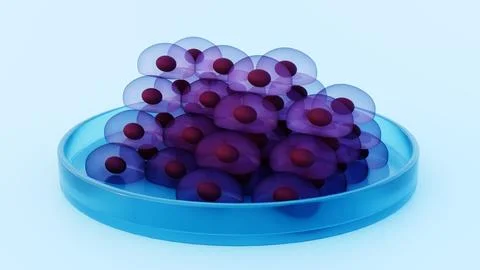 A 3d rendering of stem cell colony being cultivated within a petri dish Stock Illustration