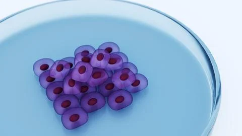 A 3d rendering of stem cell colony being cultivated within a petri dish Illustrazione stock