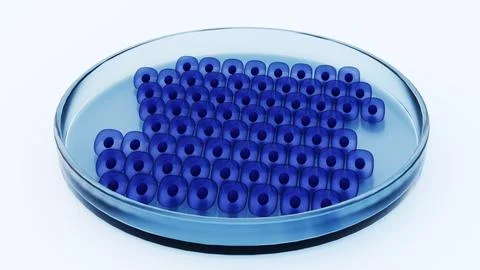 A 3d rendering of stem cell colony being cultivated within a petri dish Stock Illustration