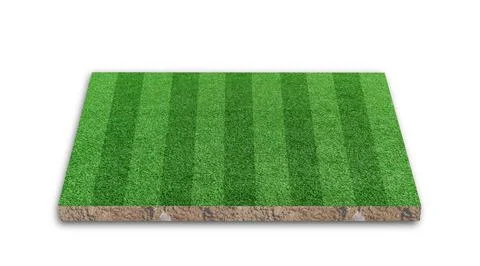3D Rendering. Stripe grass soccer field, Green lawn football field, isolated  Stock Photos