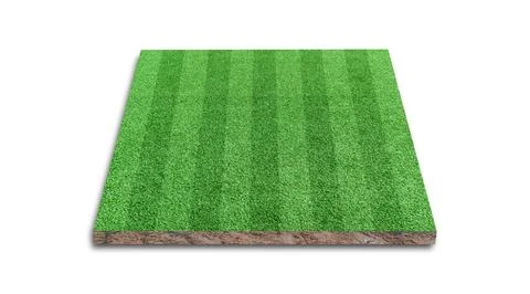3D Rendering. Stripe of soccer lawn field, Green grass football field, Isolat Stock Photos
