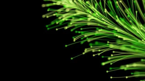 3D rendering of a stylish bright branch Stock Illustration