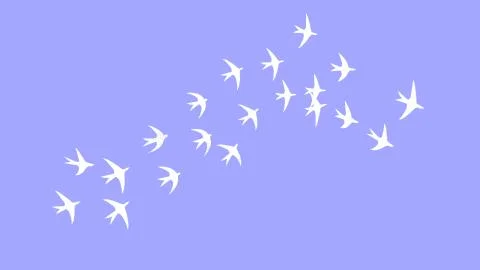 3D rendering swallows group flying spread sky freedom animals Stock Illustration