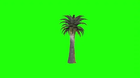 3D rendering of a tall green palm tree against a vibrant background 스톡 동영상 303594610